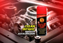 THROTTLE BODY & AIR INTAKE CLEANER
